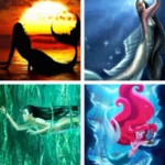 mermaid hd wallpapers android application logo